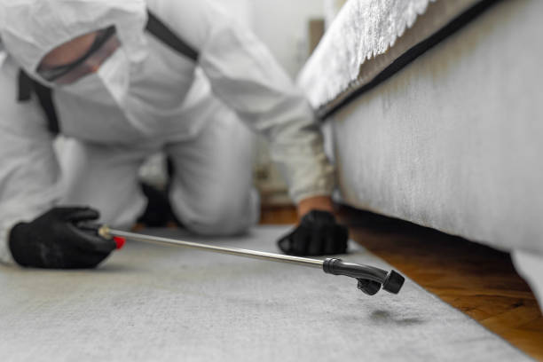 Professional Termite Control technician working in Pearl River, NY