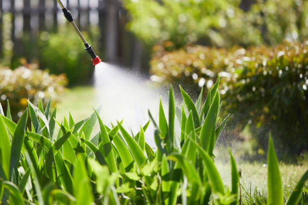 24/7 Emergency Termite Control experts in Pearl River, NY